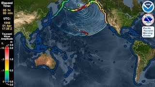 Tsunami Forecast Model Animation Aleutian Islands 1946 [upl. by Noremak]