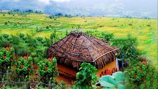 Munnar kerala tourism video  aerial view [upl. by Lesley]