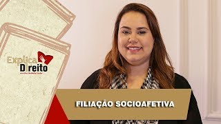 Explica Direito Filiação Socioafetiva  2019 [upl. by Armmat]