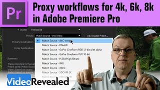 Proxy workflow in Adobe Premiere Pro [upl. by Idnic]