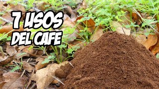 7 Usos INCREÍBLES del Cafe en el Huerto o Jardín  La Huerta de Ivan [upl. by Rhyner295]