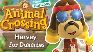 Harvey for Dummies  Animal Crossing New Horizons [upl. by Clara]