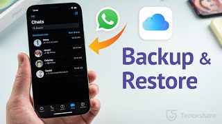 How to Backup amp Restore WhatsApp Messages on iPhone 3 Ways [upl. by Eulalee]