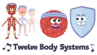 Twelve Body Systems Song [upl. by Platas120]