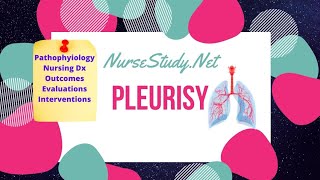 Pleurisy Pathophysiology Care Plan for Nursing Students NCLEX Help [upl. by Cogan]