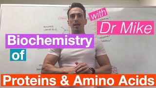 Proteins amp Amino Acids  Biochemistry [upl. by Marge]