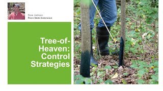 TreeofHeaven Control Strategies [upl. by Amahs]