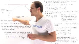 Interpretation of MichaelisMenten Equation [upl. by Haliek]