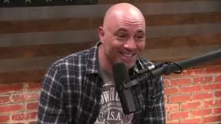 Joe Rogan Reacts to Michael Pollans DMT Story [upl. by Chun720]