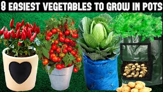 Top 8 Easy To Grow Vegetables For BeginnersSEED TO HARVEST [upl. by Kennith223]