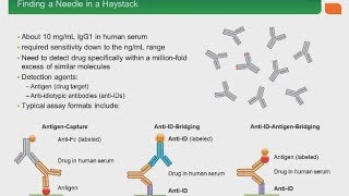 Developing Recombinant Anti Idiotypic Antibodies for PKPD and Immunogenicity Assays [upl. by Tdnerb]