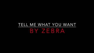 ZEBRA  TELL ME WHAT YOU WANT 1983 LYRICS [upl. by Noemi]