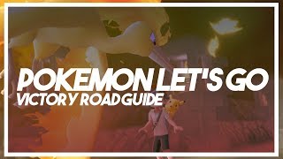 BRUTALANDA Competitive Moveset Guide VGC 2021 🔴 Pokemon Schwert und Schild  KronenSchneelande [upl. by Farrand]