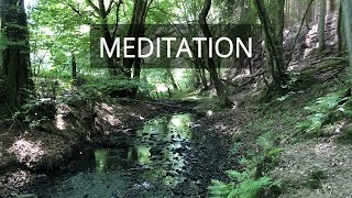 geführte Meditation zum Einschlafen  20 Minuten Tiefenentspannung [upl. by Dev905]