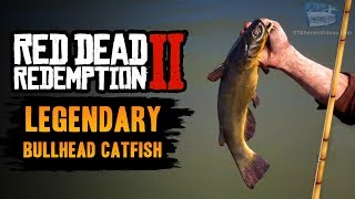 Red Dead Redemption 2 Legendary Fish  Legendary Bullhead Catfish [upl. by Currie]