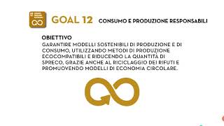 SDG Goal 12 Consumo e produzione responsabili [upl. by Yssak]