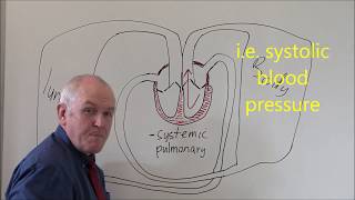 Heart 3 Pulmonary and Systemic circulation [upl. by Esaele]