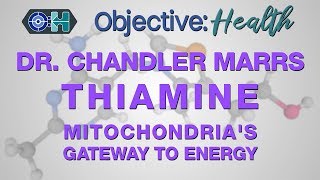 Dr Chandler Marrs on Vitamin B1 Thiamine  Mitochondrias Gateway to Energy [upl. by Gaughan401]