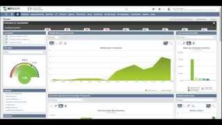 NetSuite Overview and Demo [upl. by Berkly39]