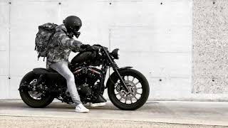 Sportster Iron 883 Brutal Sound [upl. by Adnamar]