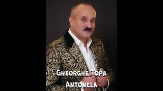 Gheorghe Topa  Antonela Official Audio [upl. by Taber]