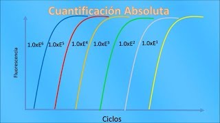 PCR en tiempo real qPCR Conceptos Básicos [upl. by Wiseman528]