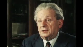 Levinas on the Face [upl. by Llib]