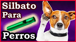 Silbato para perros  Sonido ultrasónico para perros [upl. by Yelruc]