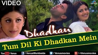 Tum Dil Ki Dhadkan Mein  Duet Dhadkan [upl. by Gerg602]