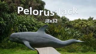 Pelorus Jack [upl. by Argile]