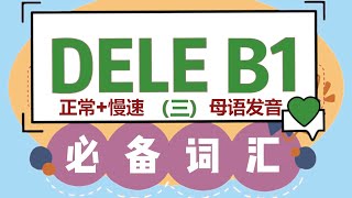 【干货】DELE B1必备西班牙语词汇表（三）  正常语速慢速  母语发音  西班牙语学习  西班牙语教程  西班牙语单词 [upl. by Uzziel]