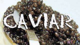 What Is and How to Eat Caviar Caviar 101 [upl. by Alber]