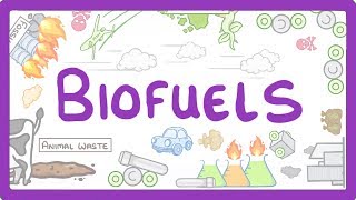 GCSE Physics  Biofuels 12 [upl. by Eileme]