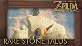 Zelda Breath of the Wild  All Rare Stone Talus Locations [upl. by Ynettirb]