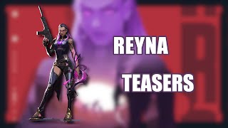 Teaser Archive  Reyna  VALORANT [upl. by Netaf425]