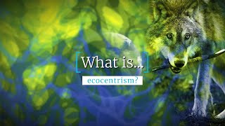 What Is Ecocentrism [upl. by Libyc]