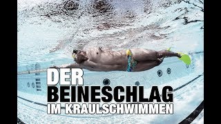 Kraulschwimmen Warum Beineschwimm Sets wichtig sind  SWIMAZING UNIVERSITY [upl. by Perla]