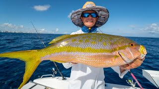 MONSTER Yellowtail Snapper Catch Clean Cook [upl. by Sands]