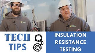 Insulation Resistance Testing Techniques [upl. by Janus]