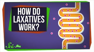 How Do Laxatives Work [upl. by Burnie]