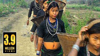 বান্দরবানের আকর্ষণীয় পাহাড়ি জীবন  LIFESTYLE OF HILLY BANDARBAN IN BANGLADESH [upl. by Ostler]