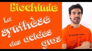 Cours de biochimie la synthèse des acides gras [upl. by Ellennad805]