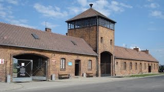 Auschwitz  Episode 2 Birkenau [upl. by Wilow]