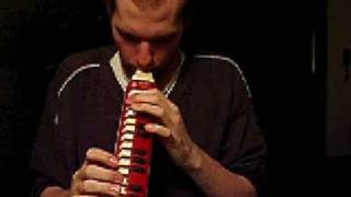 Hohner HM901 Alto Melodica [upl. by Ahsilram]