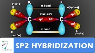 SP2 Hybridization [upl. by Aikas]