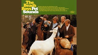 Pet Sounds Mono [upl. by Arodoeht]