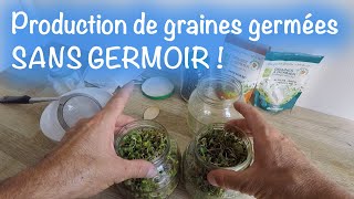 Production de graines germées SANS GERMOIR [upl. by Ennahteb]