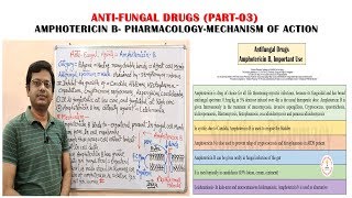 Antifungal Drugs Part03 Amphotericin B Pharmacology amp Mechanism of Action  Antifungal Medicines [upl. by Eserehc66]