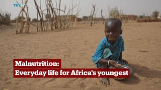 TRT World  World in Focus Malnutrition Everyday life for Africa’s youngest [upl. by Ahsiugal]