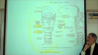 ANATOMY RESPIRATORY SYSTEM PART 1 Upper Tract Nose Pharynx amp Larynx by Professor Fink [upl. by Pratte325]